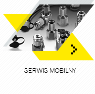 Serwis mobilny